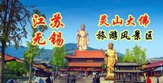 欧美性爱水蜜桃视频江苏无锡灵山大佛旅游风景区